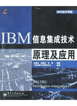 IBM信息集成技术原理及应用 pdf epub mobi 电子书 下载