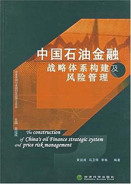 中国石油金融战略体系构建及风险管理 pdf epub mobi 电子书 下载