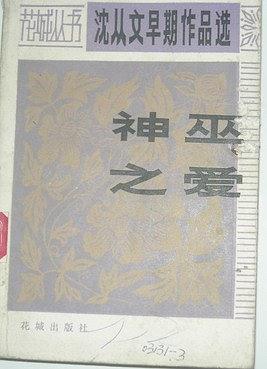 神巫之爱 pdf epub mobi 电子书 下载
