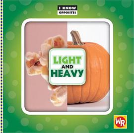 Light and Heavy pdf epub mobi 电子书 下载