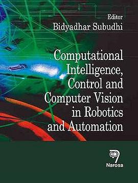 Computational Intelligence, Control and Computer Vision in Robotics and Automation pdf epub mobi 电子书 下载