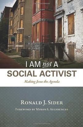 I Am Not a Social Activist pdf epub mobi 电子书 下载