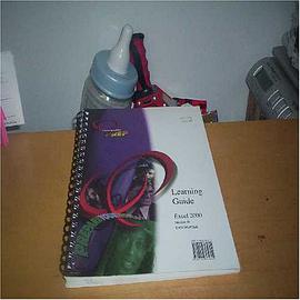 Excel 2000 pdf epub mobi 电子书 下载