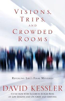 Visions, Trips, and Crowded Rooms pdf epub mobi 下载