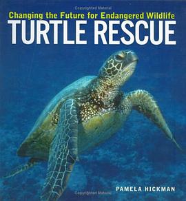 Turtle Rescue