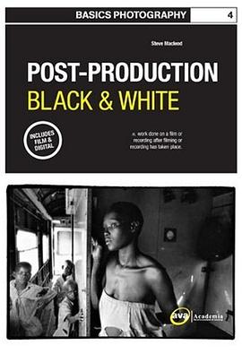Basics Photography pdf epub mobi 电子书 下载