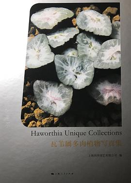 瓦苇属多肉植物写真集 pdf epub mobi 电子书 下载