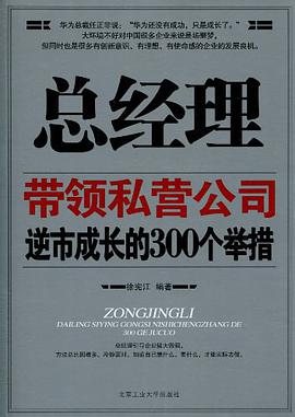 总经理带领私营公司逆市成长的300个举措 pdf epub mobi 电子书 下载