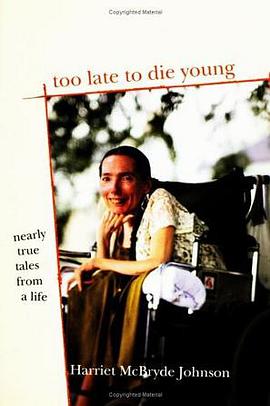 Too Late to Die Young pdf epub mobi 电子书 下载