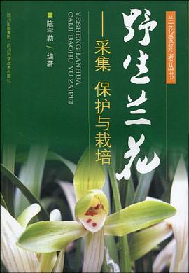 野生兰花 pdf epub mobi 电子书 下载
