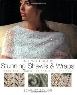 Knit with Beads pdf epub mobi 下载