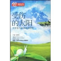 受伤的太阳 pdf epub mobi 电子书 下载
