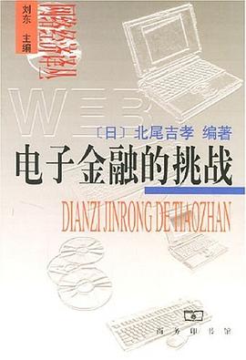 电子金融的挑战 pdf epub mobi 电子书 下载