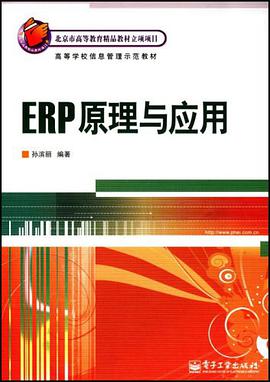 ERP原理与应用 pdf epub mobi 下载