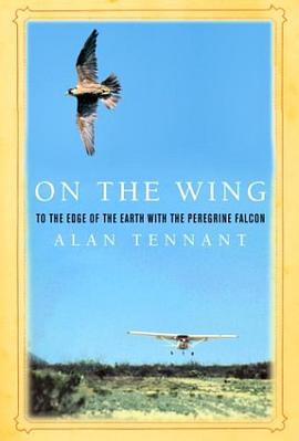 On the Wing pdf epub mobi 电子书 下载
