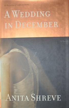 A Wedding in December pdf epub mobi 下載