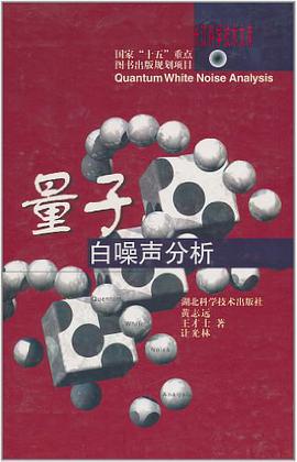 量子白噪声分析