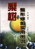 梨树整形修剪实用图说 pdf epub mobi 电子书 下载