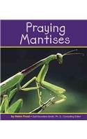 Praying Mantises pdf epub mobi 电子书 下载