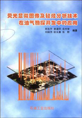 荧光显微图像及轻烃分析技术在油气勘探开发中的应用 pdf epub mobi 下载