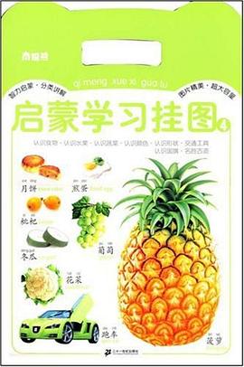 南极熊启蒙学习挂图 4 认识食物、水果、蔬菜、颜色、形状、交通工具、国旗、名胜古迹 pdf epub mobi 电子书 下载