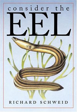 Consider the Eel pdf epub mobi 电子书 下载