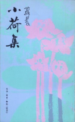 小荷集 pdf epub mobi 电子书 下载