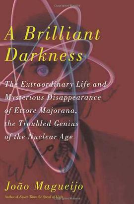 A Brilliant Darkness pdf epub mobi 电子书 下载