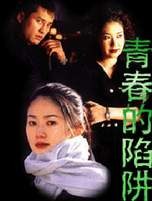 青春的陷阱国语发音中文字幕二十四碟(VCD)