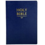 The Holy Bible pdf epub mobi 电子书 下载