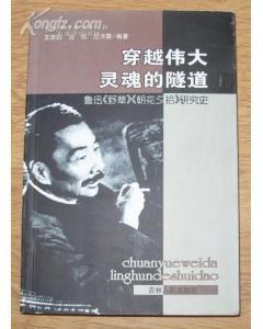 穿越偉大靈魂的隧道 pdf epub mobi 下载