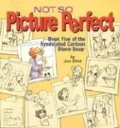 Not So Picture Perfect pdf epub mobi 电子书 下载
