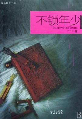 不锁年少 pdf epub mobi 电子书 下载