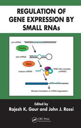 Regulation of Gene Expression by Small RNAs pdf epub mobi 电子书 下载