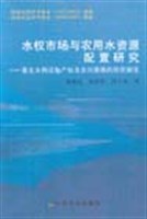 水权市场与农用水资源配置研究 pdf epub mobi 电子书 下载