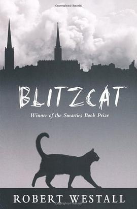 Blitzcat pdf epub mobi 电子书 下载