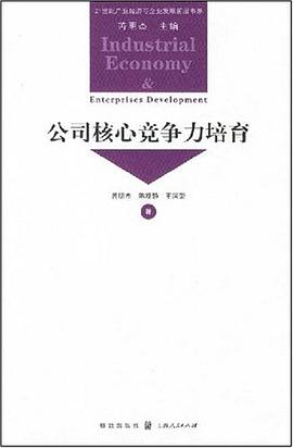 公司核心竞争力培育 pdf epub mobi 电子书 下载