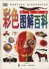 彩色图解百科(汉英对照) pdf epub mobi 电子书 下载