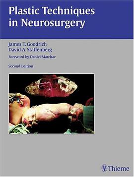 Plastic Techniques in Neurosurgery pdf epub mobi 电子书 下载