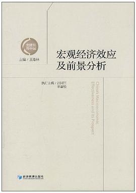 宏觀經濟效應及前景分析 pdf epub mobi 電子書 下載
