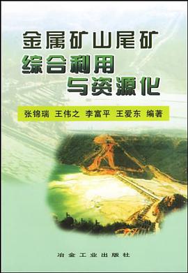 金属矿山尾矿综合利用与资源化 pdf epub mobi 电子书 下载