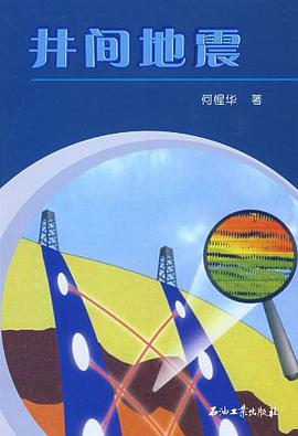 井间地震 pdf epub mobi 电子书 下载