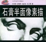石膏半面像素描 pdf epub mobi 电子书 下载