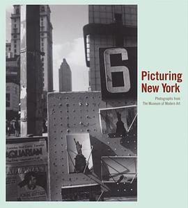 Picturing New York