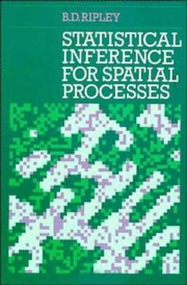 Statistical Inference for Spatial Processes pdf epub mobi 电子书 下载