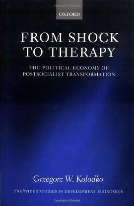 From Shock to Therapy pdf epub mobi 电子书 下载