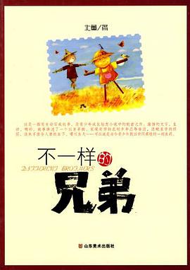 不一样的兄弟 pdf epub mobi 电子书 下载