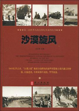沙漠旋风 pdf epub mobi 电子书 下载