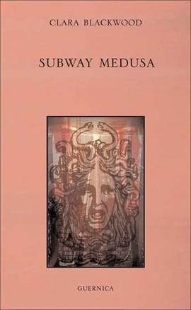 Subway Medusa pdf epub mobi 电子书 下载