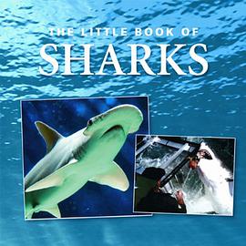 Little Book of Sharks
